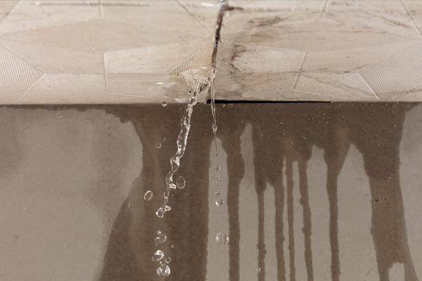 Professional Water Damage Repair technician working in Haslet, TX
